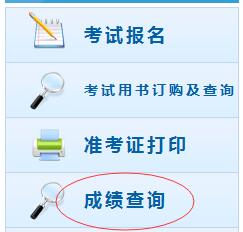 全國會計資格評價網(wǎng)初級會計成績查詢入口