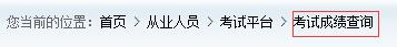考試成績查詢