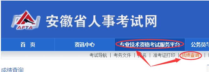 安徽省二建成績(jī)查詢?nèi)肟冢喊不帐∪耸驴荚嚲W(wǎng)