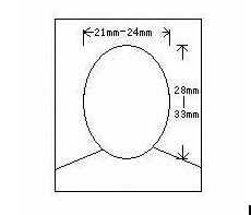 人力資源管理師報(bào)名照片要求